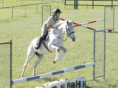 runcorn pony club image